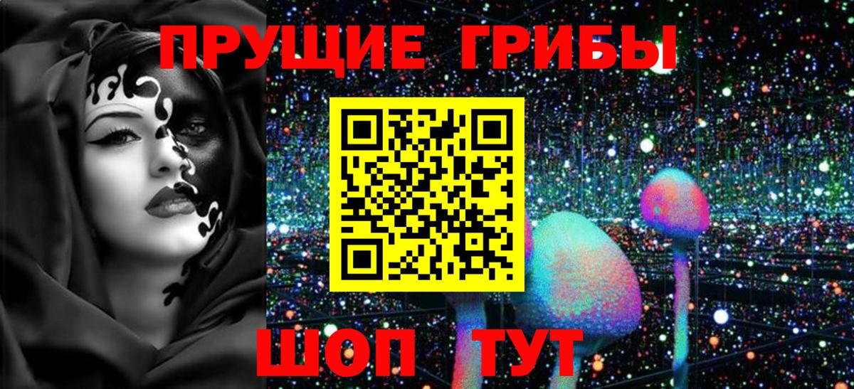 Янаул  сколько стоит  Вход с VPN  Псилоцибиновые грибы Magic Shrooms 